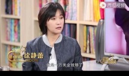 明星黑料ppt,PPT背后的真相与反思